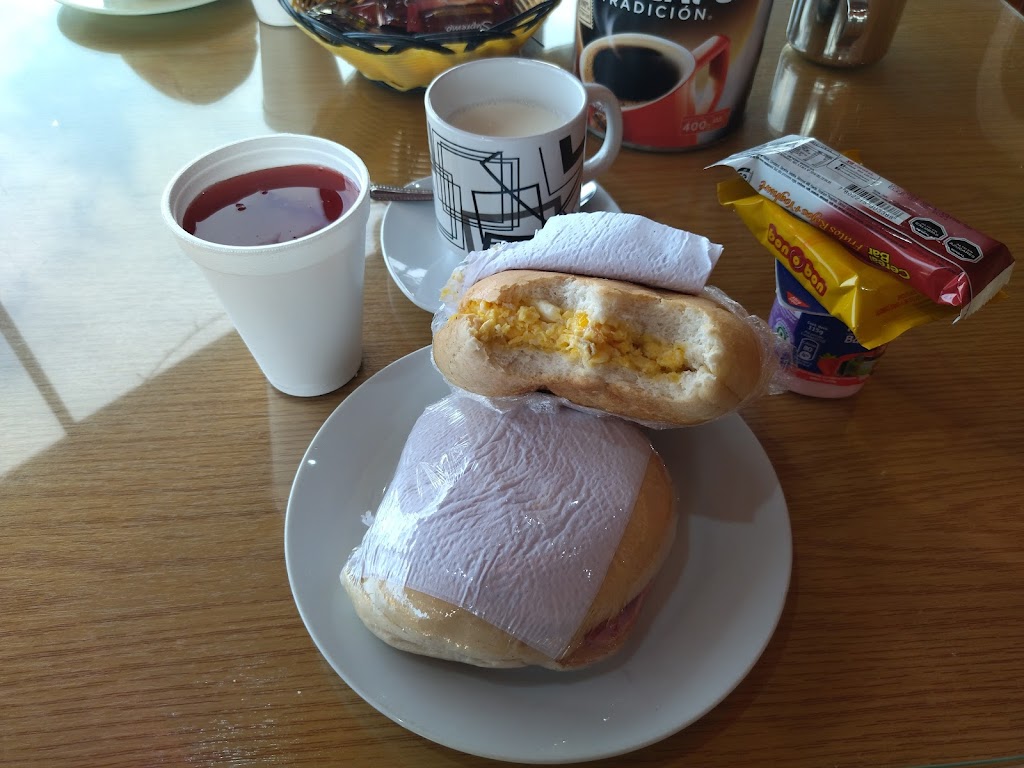 Comida y bebida