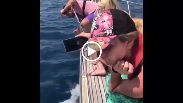 Gib Sailing School — Del propietario