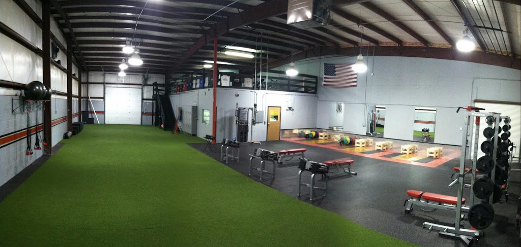  Lewis Fitness & Performance