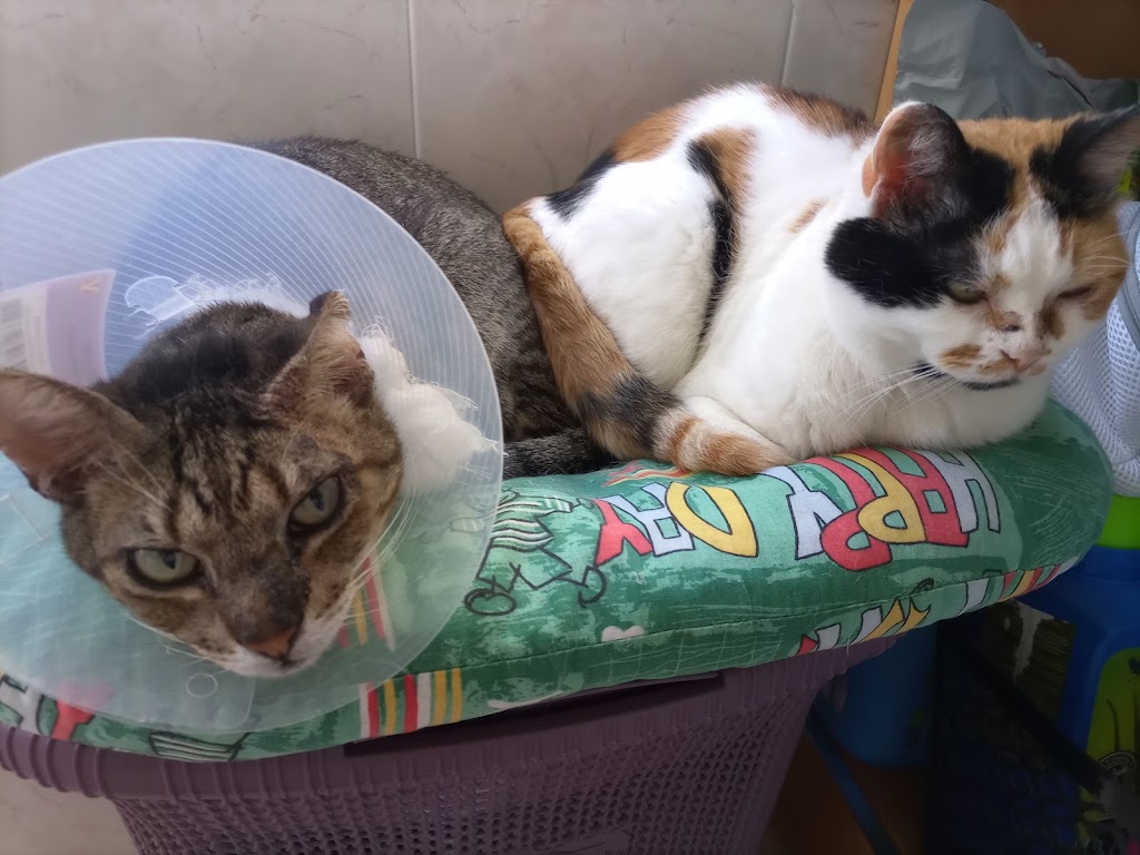 Foto da avaliação