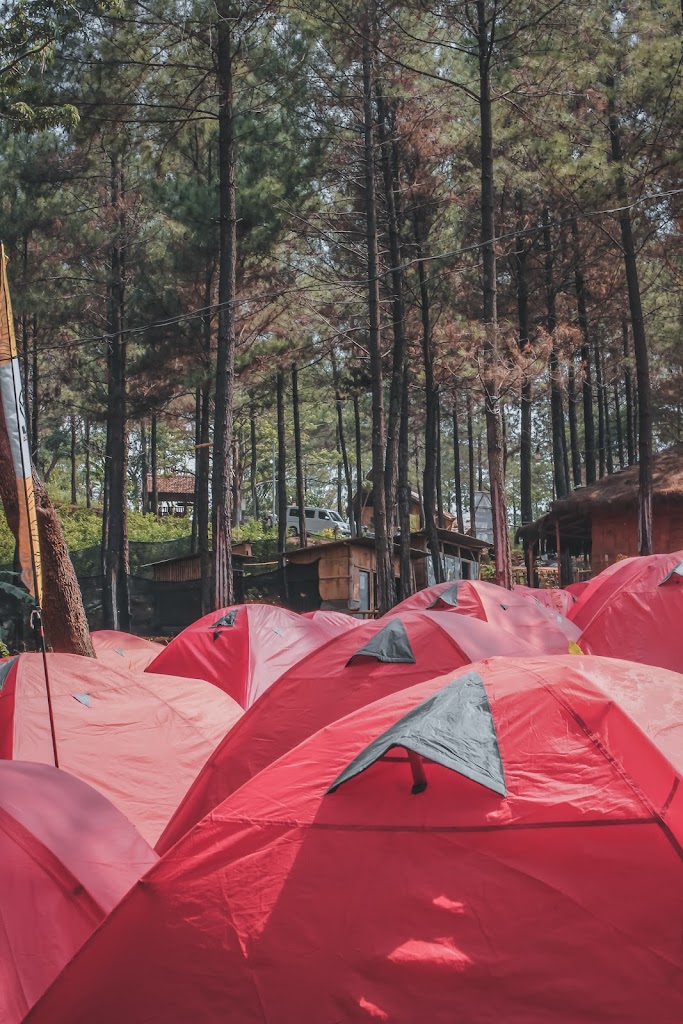 SEWA ALAT CAMPING BATU (WILDTRACK ADVENTURE BATU 1)