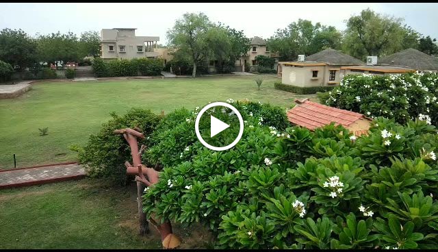 Videos