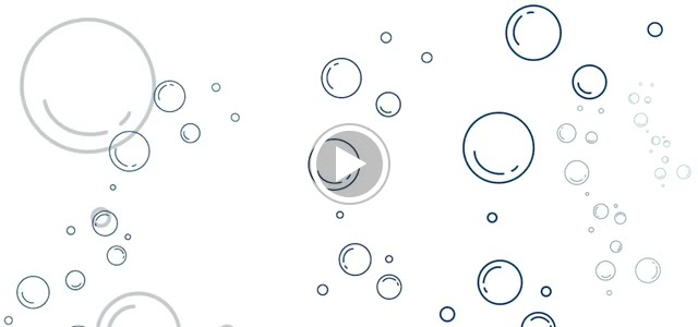  British Swim School at LA Fitness - Rock Hill