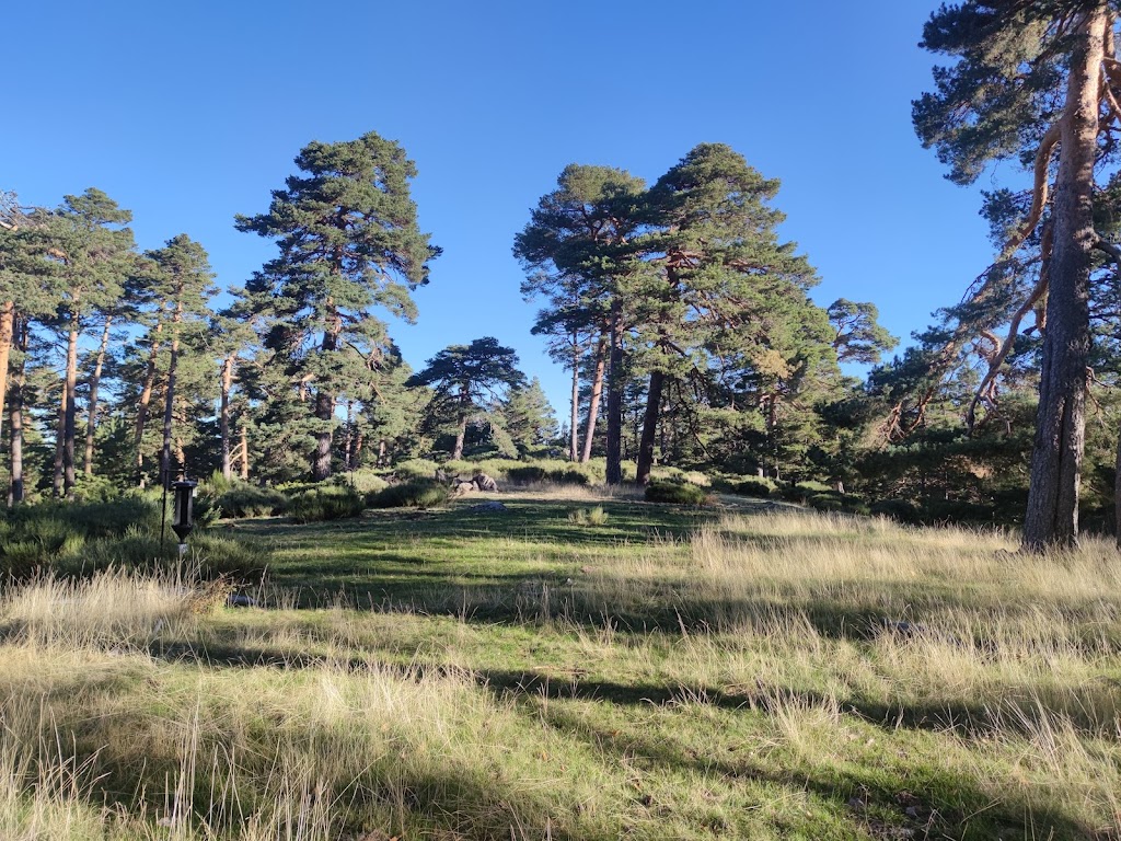 Cerro de La Camorquilla