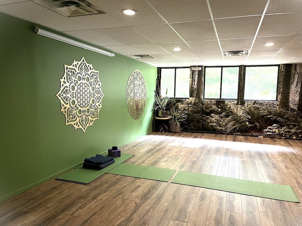  Lesa Kingsbury/Amba Yoga