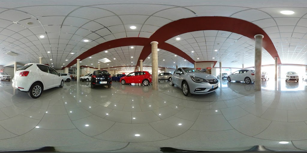 MOTOR SAN JAVIER S.L. — Todas