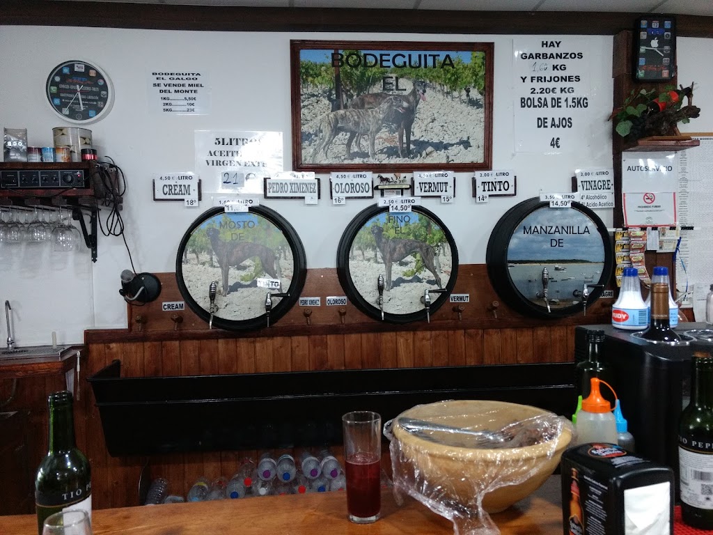 BODEGUITA EL GALGO — Ambiente