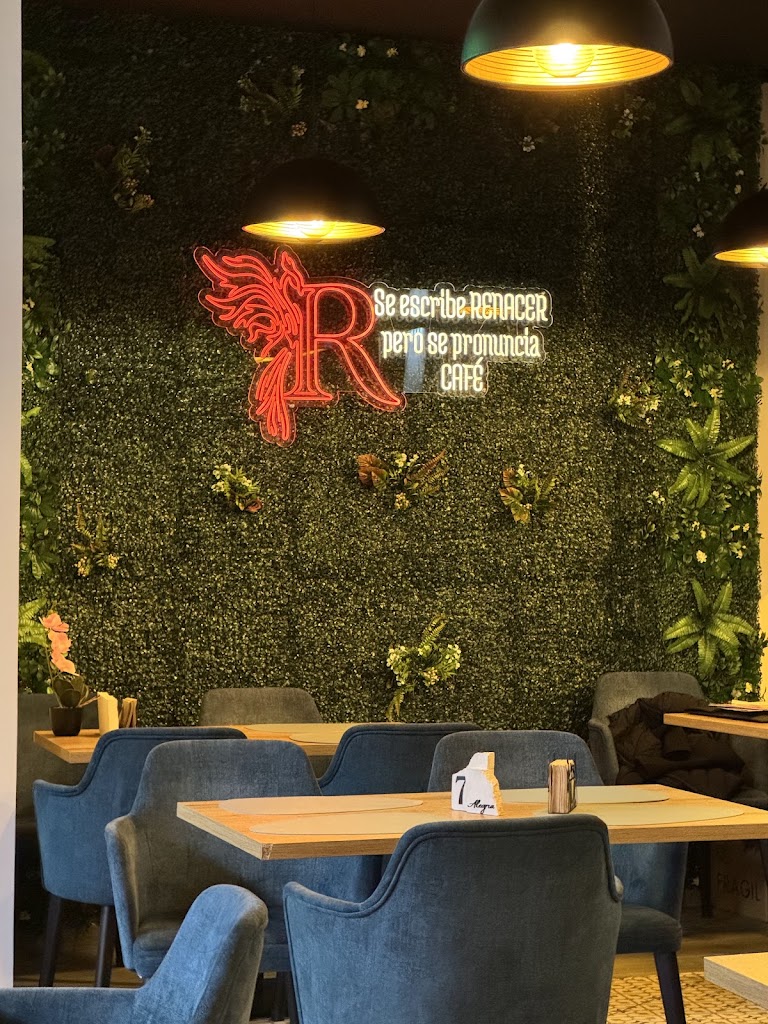 RENACER GASTRO BAR — Ambiente