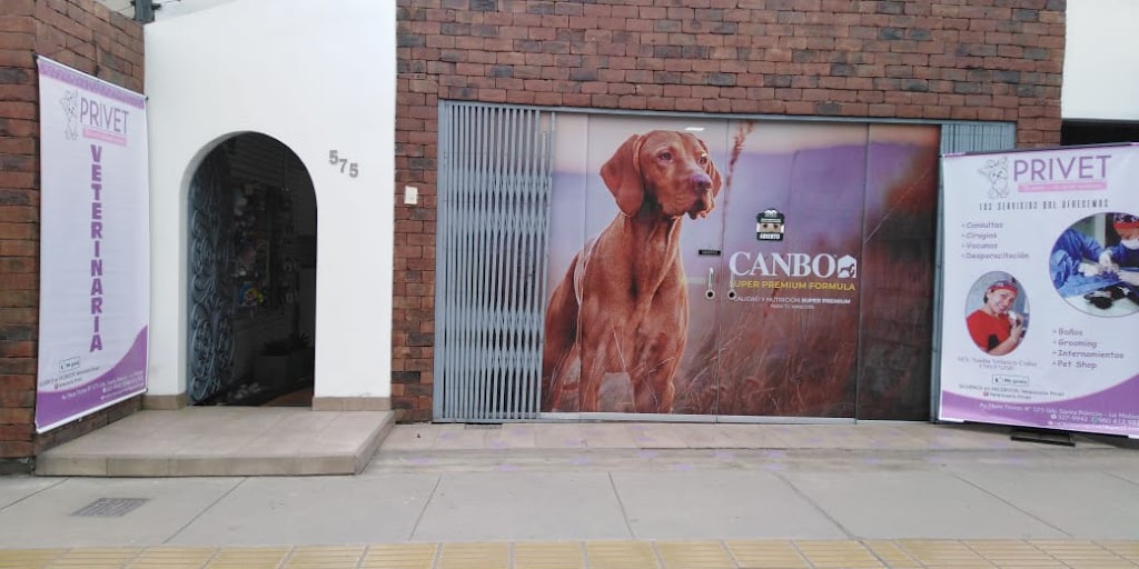 Perro