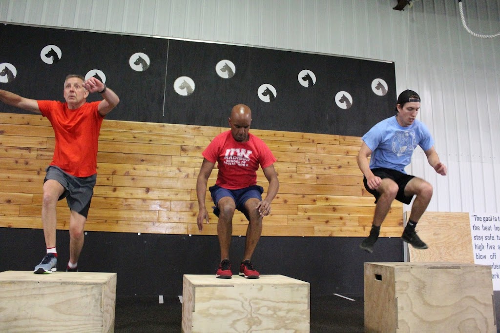  CrossFit Big Dane Collective