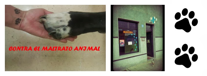Centro Veterinario Raska y Pika — Del propietario