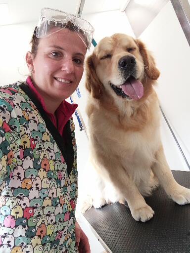 Cachorro