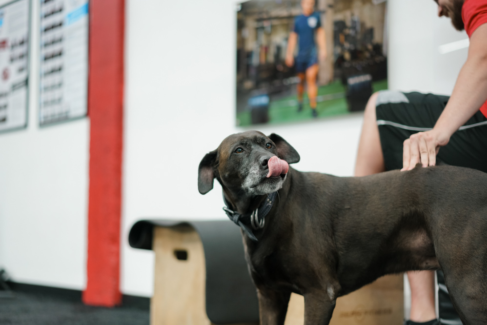  Seriously Strong Training St. Petersburg