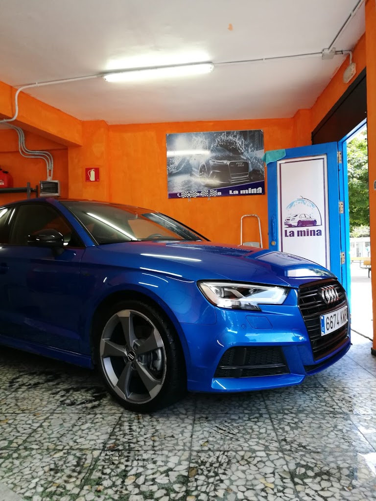 Autolavado Artesanal la Mina — Del propietario