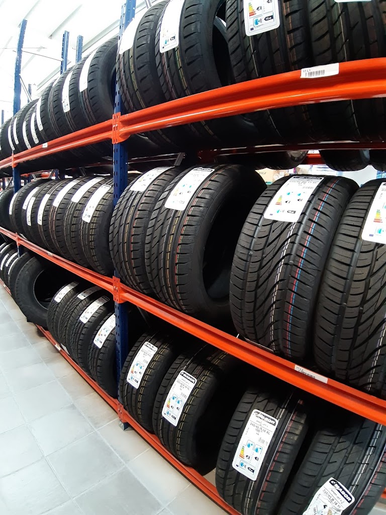 Talleres Barranquero conejo