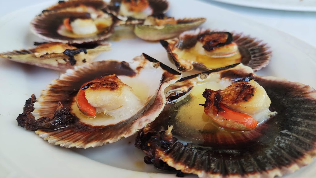 Restaurante Modesto — Pectinidae