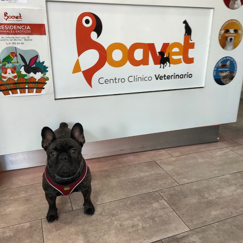 Centro clinico veterinario Boavet — Del propietario