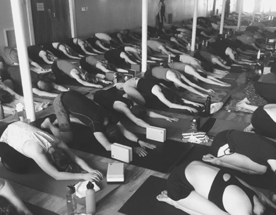  Hot Yoga Charlottesville