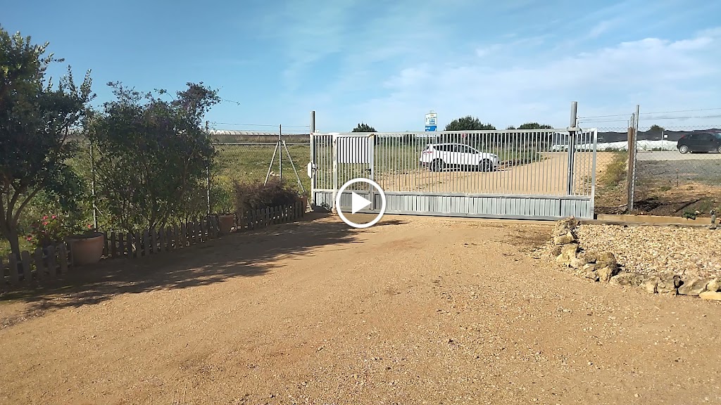 Brecoluz Residencia Canina Agility — Videos
