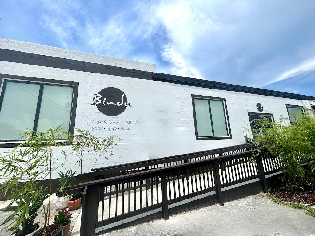  Bindu Yoga and Wellness