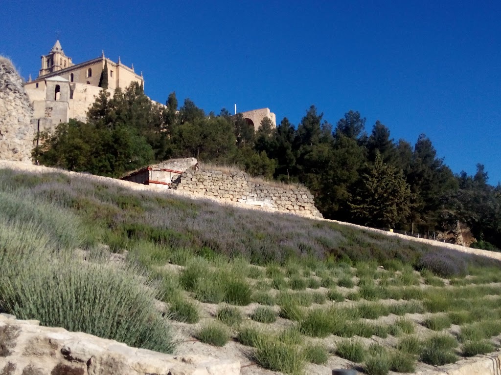 Camino De San Bartolome(la Mota)
