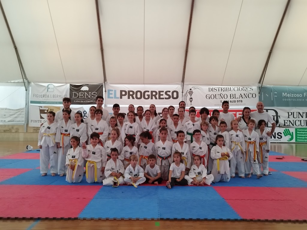 Club de Taekwondo VALERICS