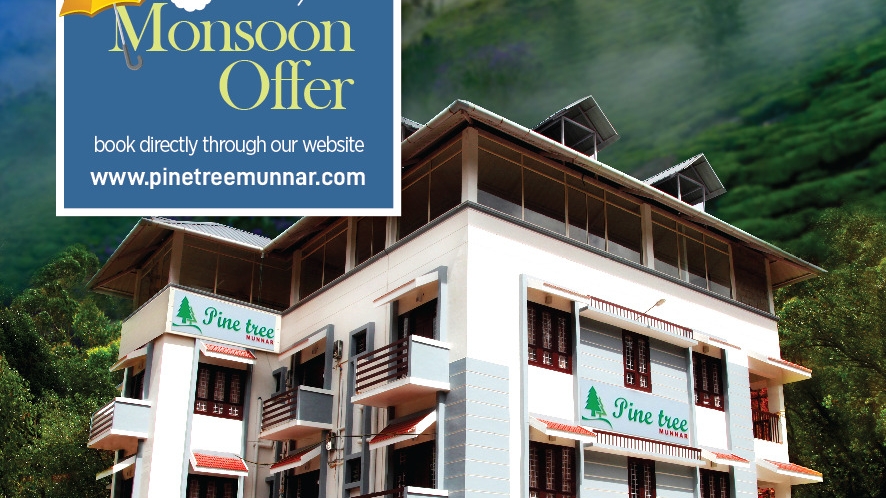 Pine Tree Munnar