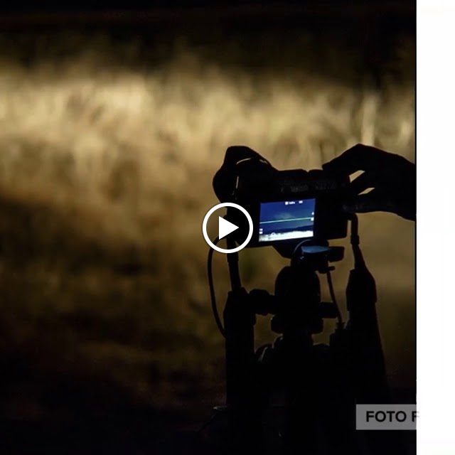Foto f — Del propietario