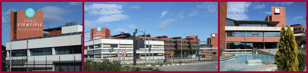 Instituto de Fisica Corpuscular (IFIC)