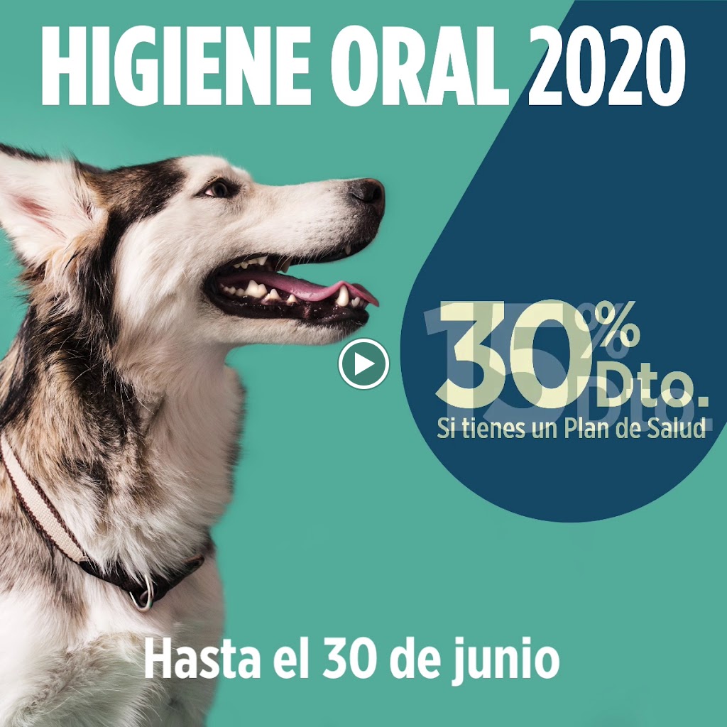 Clinica Veterinaria Wecan Cosmopet — Videos