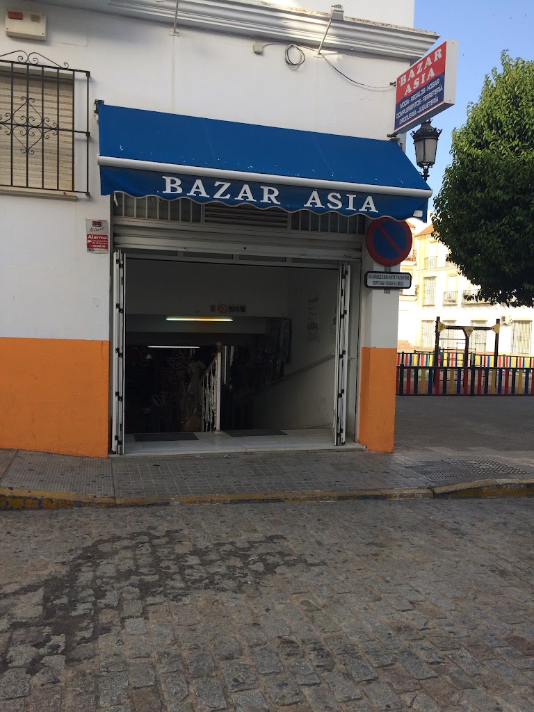 BAZAR ESTRELLA BRILLANTE