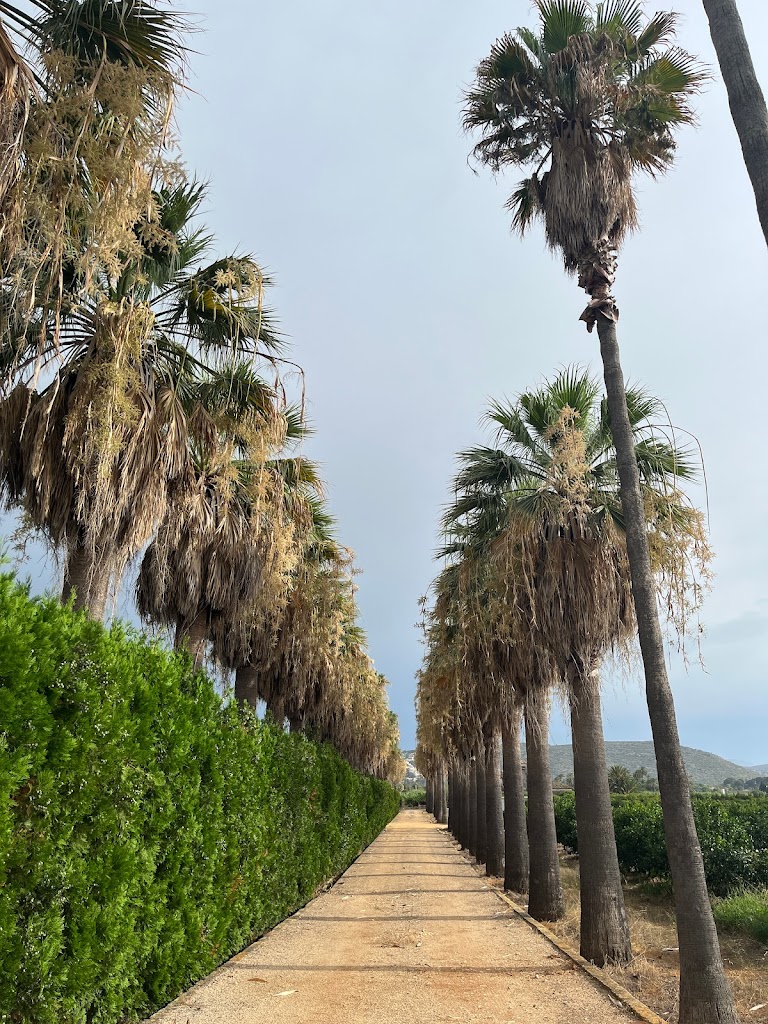 Via Verde de Denia