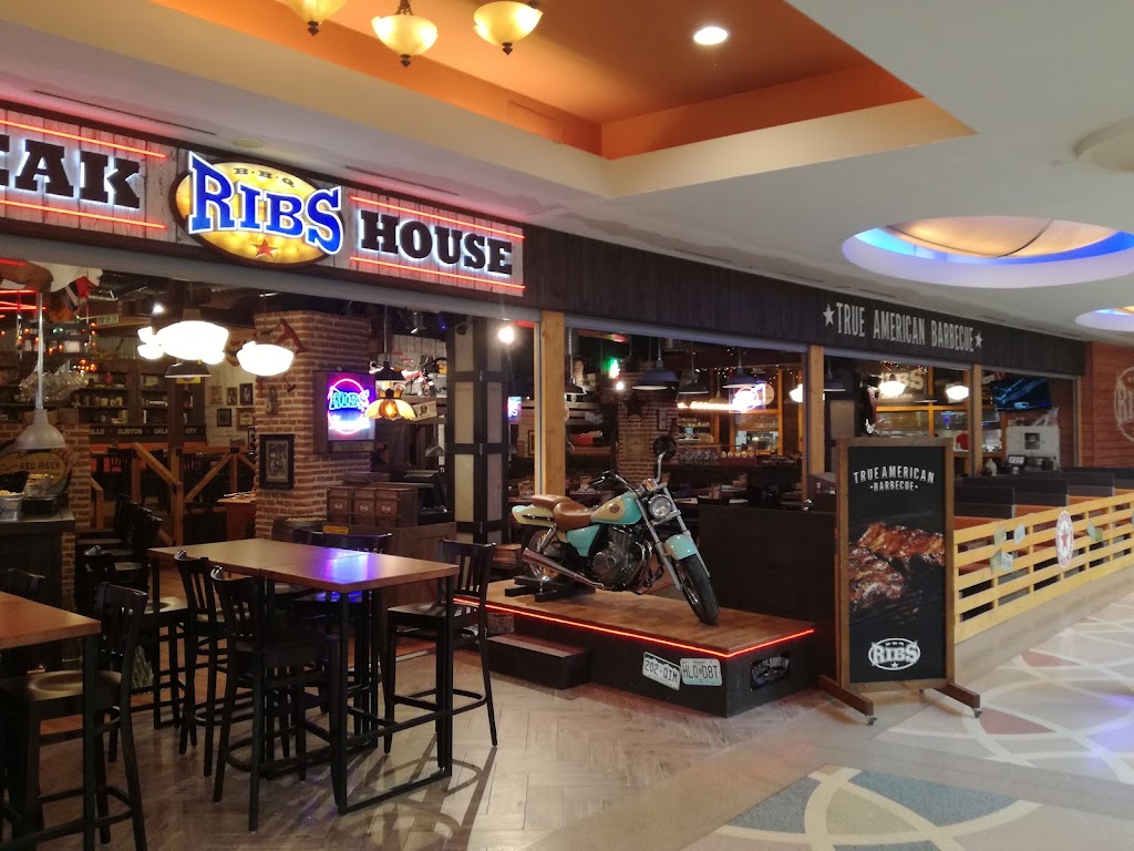 RIBS XANADU — Ambiente
