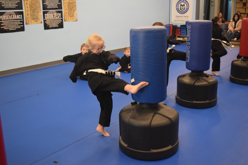  Defiance Karate LLC.