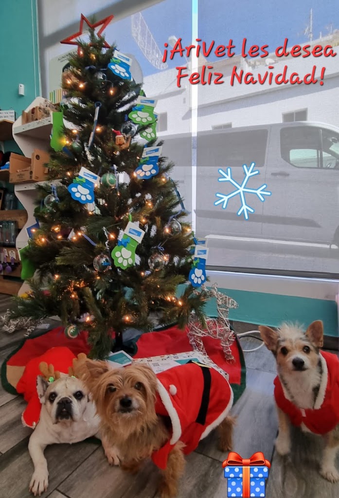 Clinica Veterinaria AriVet — Perro