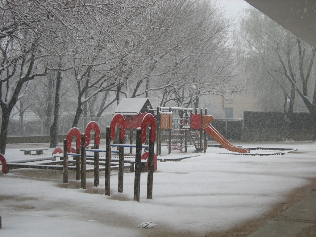 Escuela Collserola