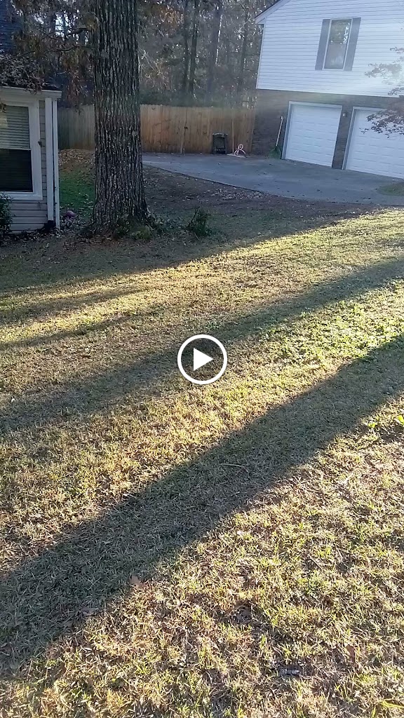 Videos