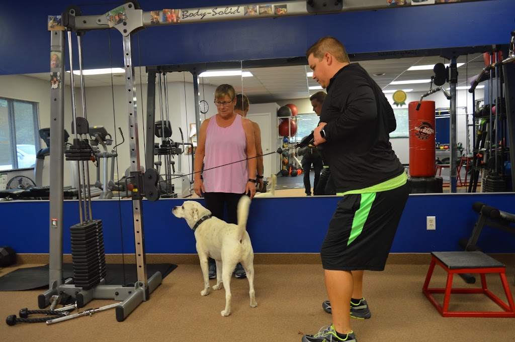  Live Fit Personal Training + Nutrition