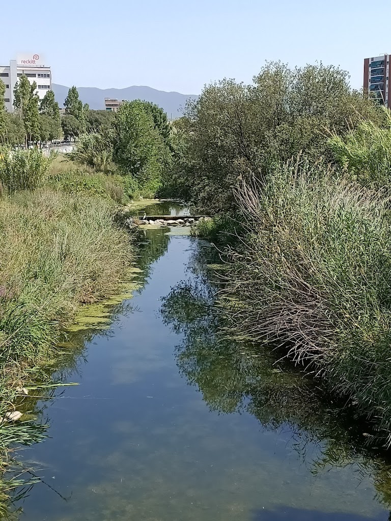 Ruta de l'Aigua | GRANOLLERS