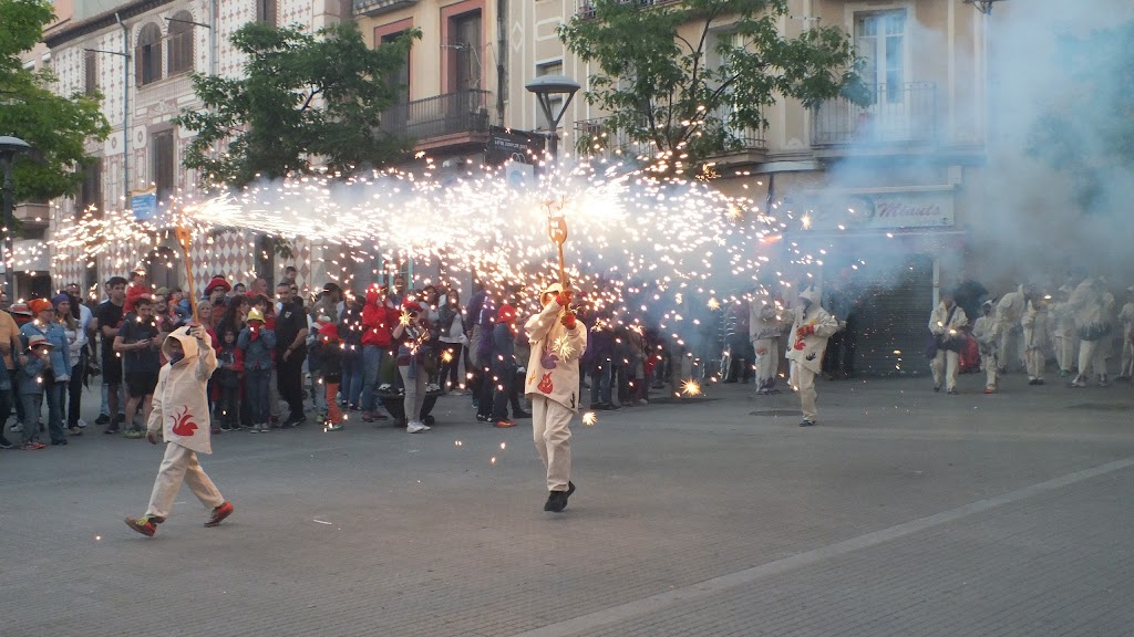 Seu Dimonis de Molins de Rei
