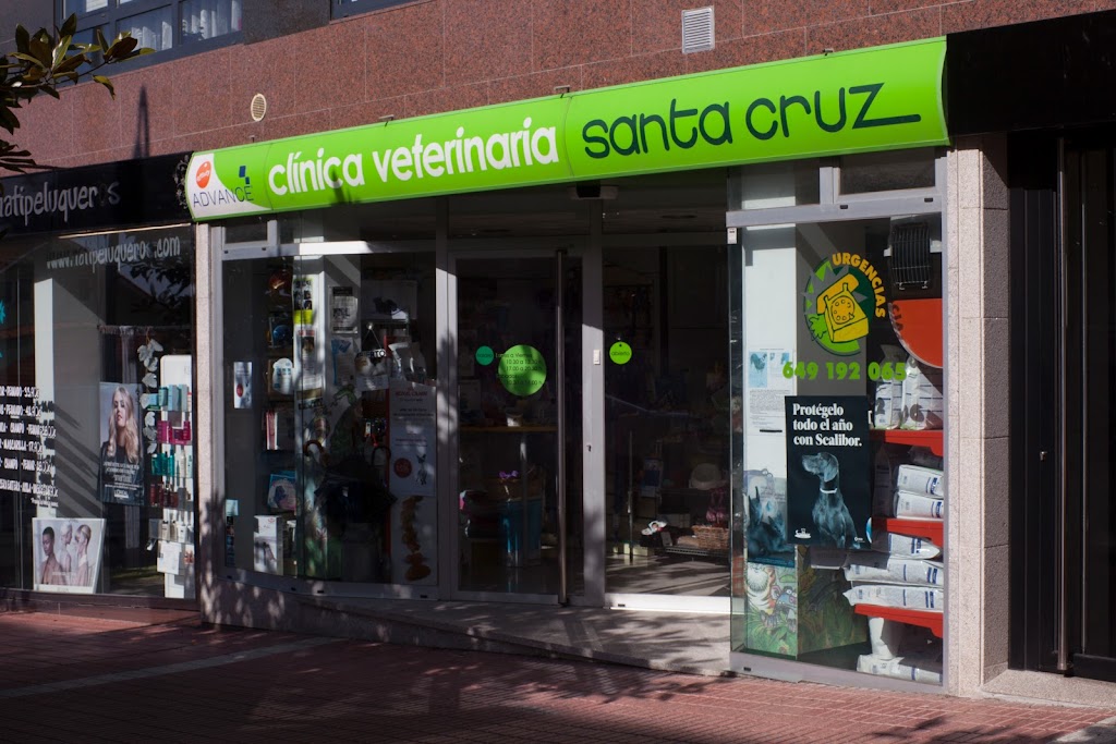 Clinica Veterinaria Santa Cruz en Porto de Santa Cruz