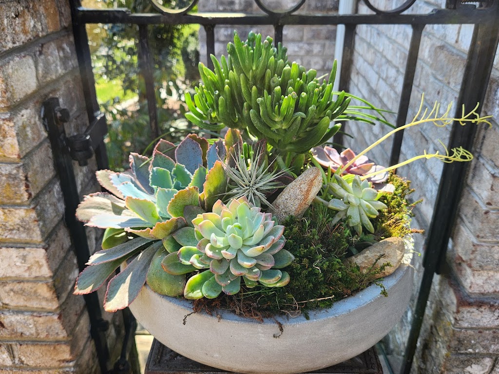 Gina's Garden Gems