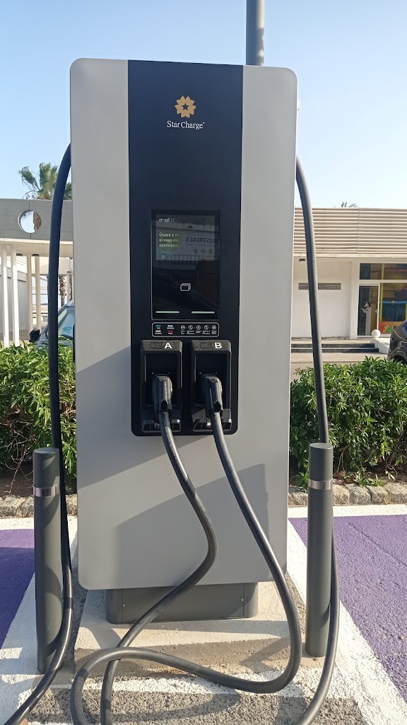 Endesa X Charging Station