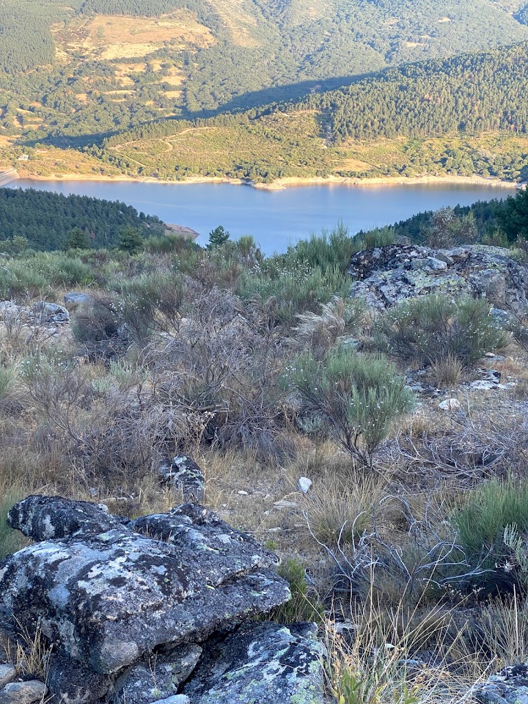 Camino de los Vetones