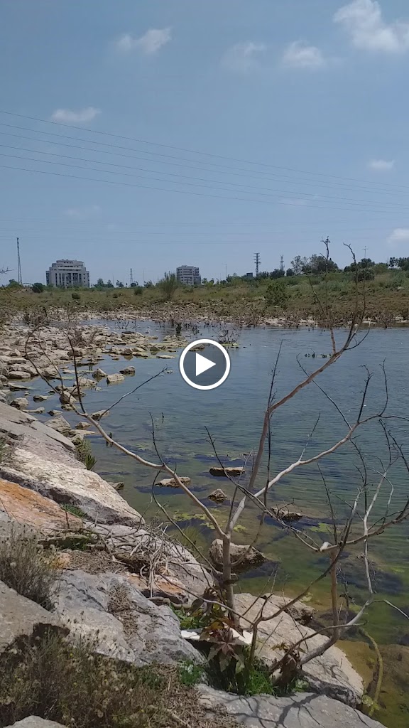 Ruta fluvial Rio Palancia (Sagunto) — Videos