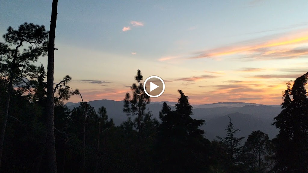 Videos