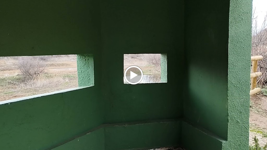 Mirador de aves — Mas recientes