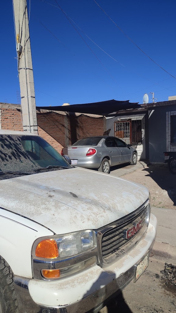 Servicio Automotriz Los Gatos