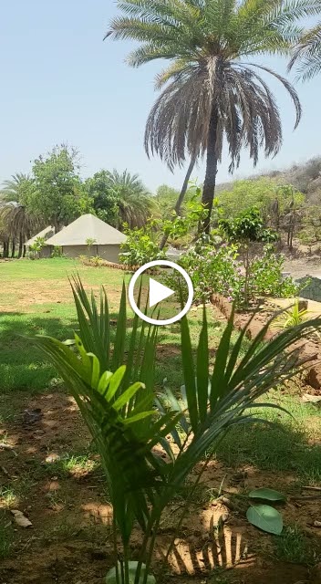 Videos