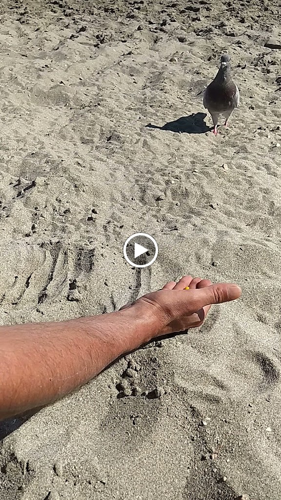 A Bordo gastro & beach — Videos